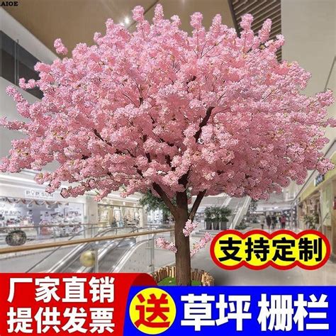 客廳桃花位|【桃花樹風水】桃花樹風水：古代風水禁忌與現代居家桃花指南